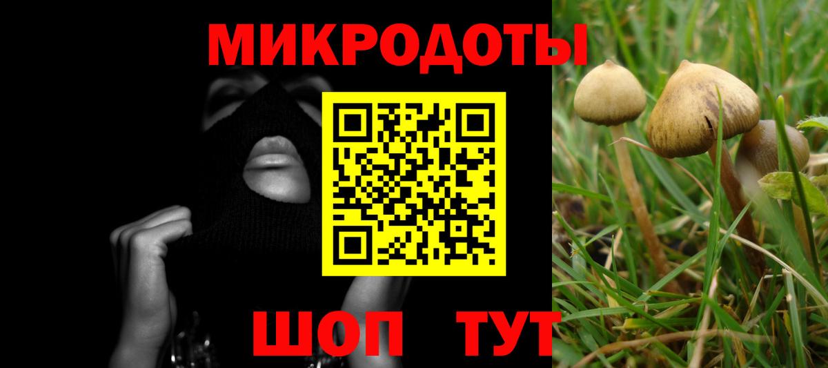 Галлюциногенные грибы GOLDEN TEACHER  Вход с VPN  Нарьян-Мар 